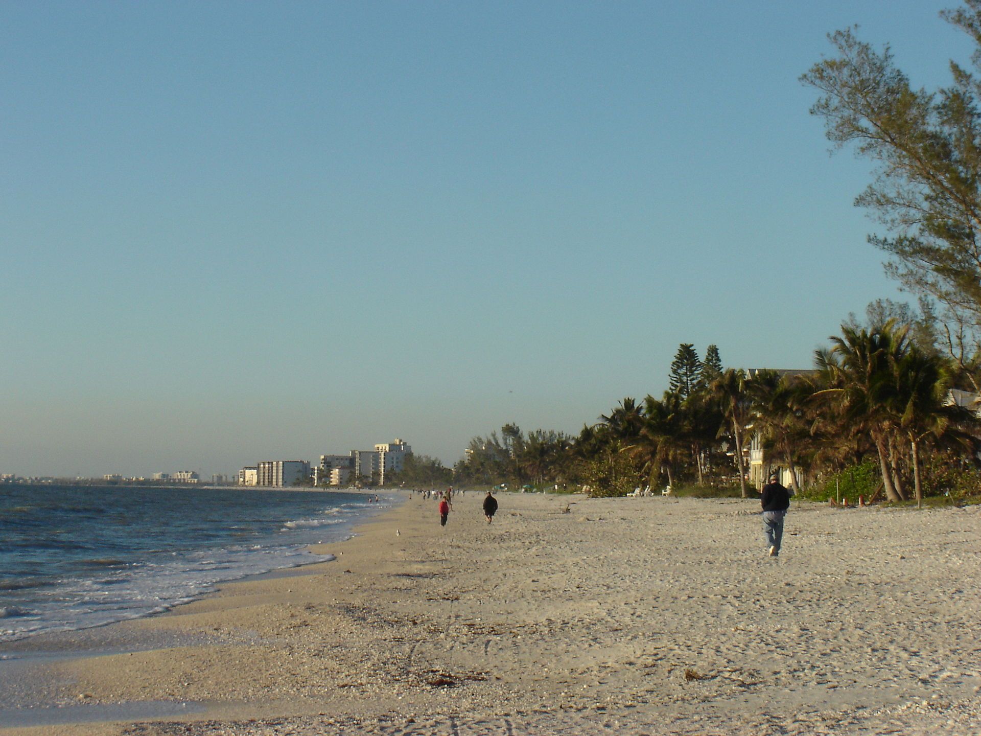 Bonita Springs, florida, featuring Bonita Springs, Florida - Bonita Springs is a city in Lee County, Florida, United States. and "\"Estero, Florida - Estero (Spanish for \\\"estuary\\\") is an incorporated village in Lee County, Florida, United States, located directly beside the first aquatic n...\"", web design agency service area photo