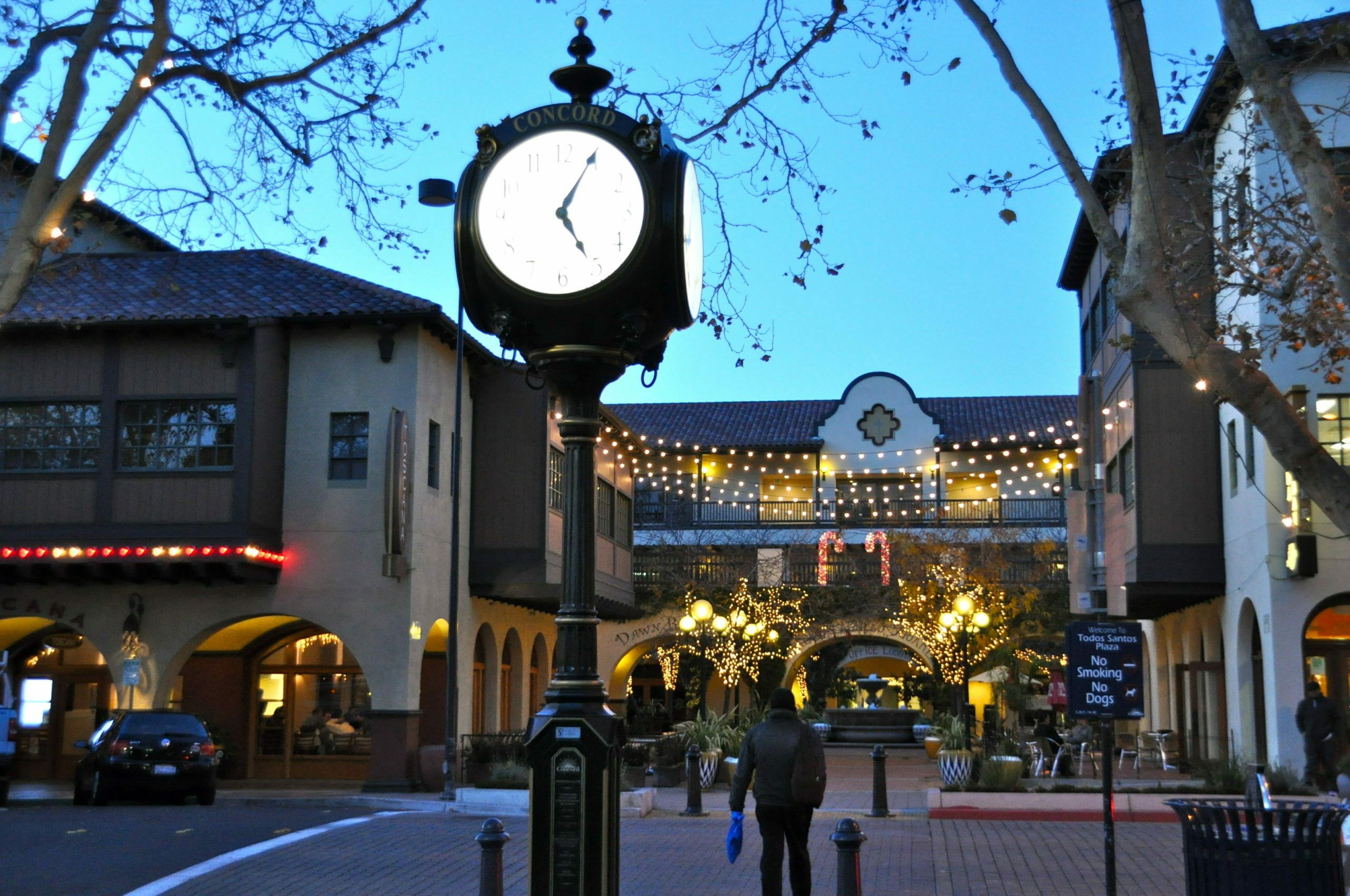 Concord, california, featuring Concord, California - Concord ( KON-kerd) is the most populous city in Contra Costa County, California, United States. and Markham Nature Park and Arboretum - The Markham Nature Park and Arboretum, also known as Concord Nature Area and Markham Nature Area, is a natural arboretum in Concord, Califor..., web design agency service area photo