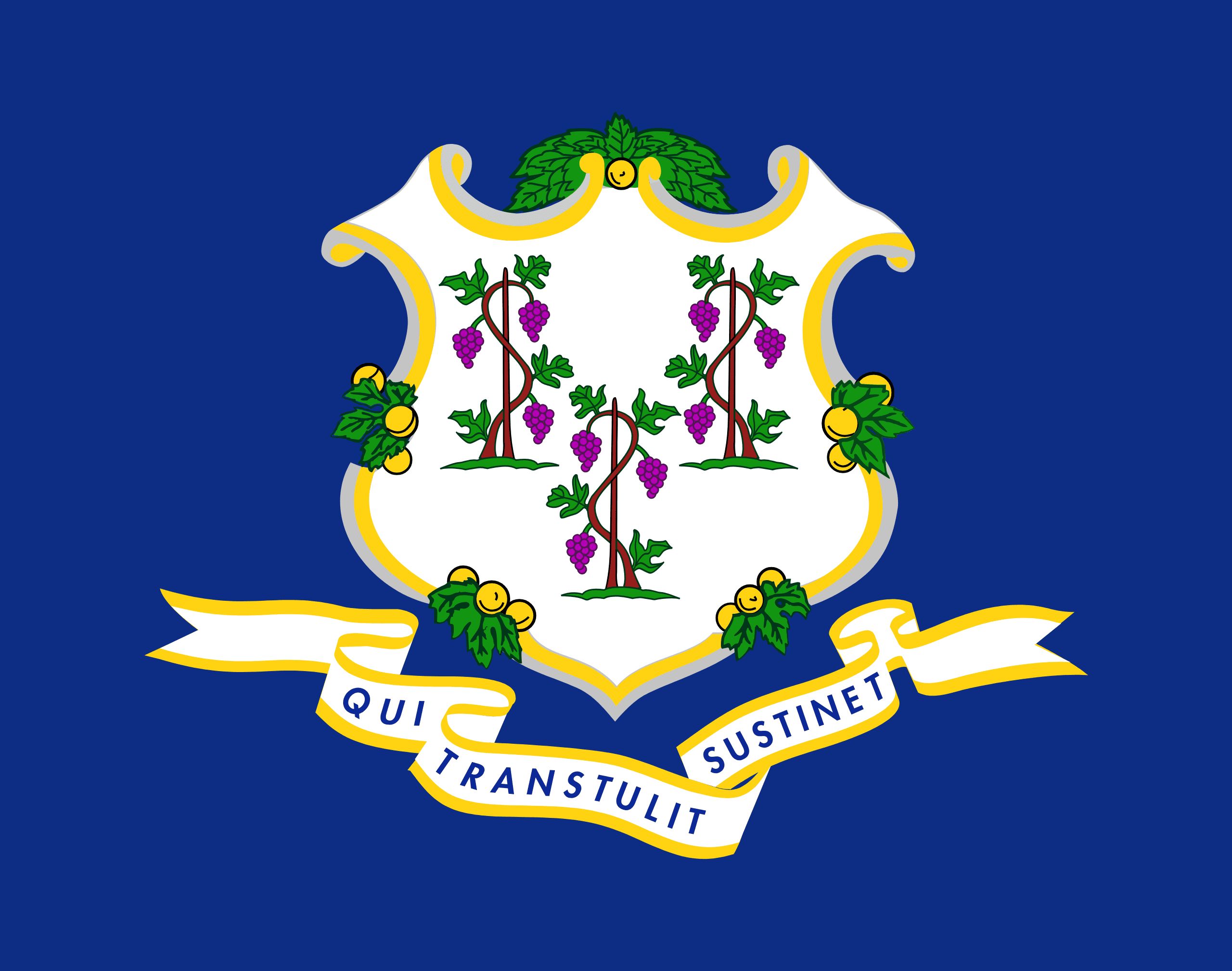Connecticut web design agency service area photo