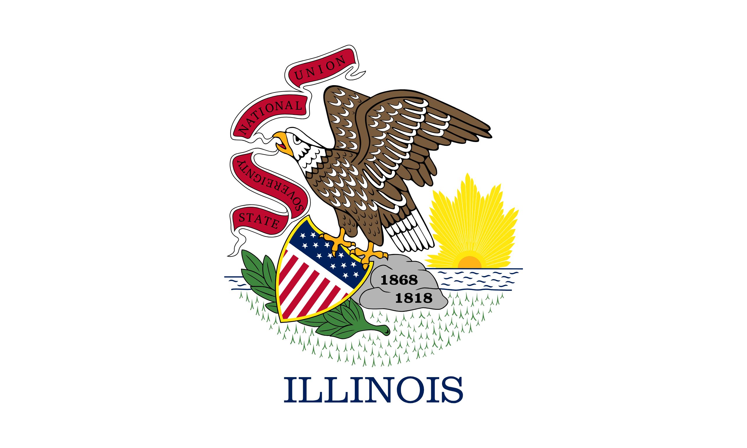 Illinois web design agency service area photo