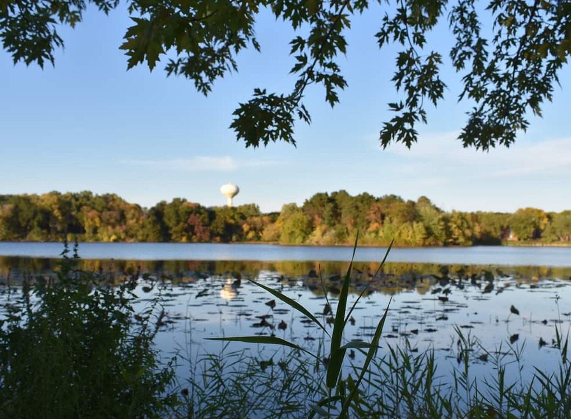 Inver Grove Heights, minnesota, featuring Inver Grove Heights, Minnesota - Inver Grove Heights is a city in Dakota County, Minnesota, United States. and South St. Paul, Minnesota - South St., web design agency service area photo