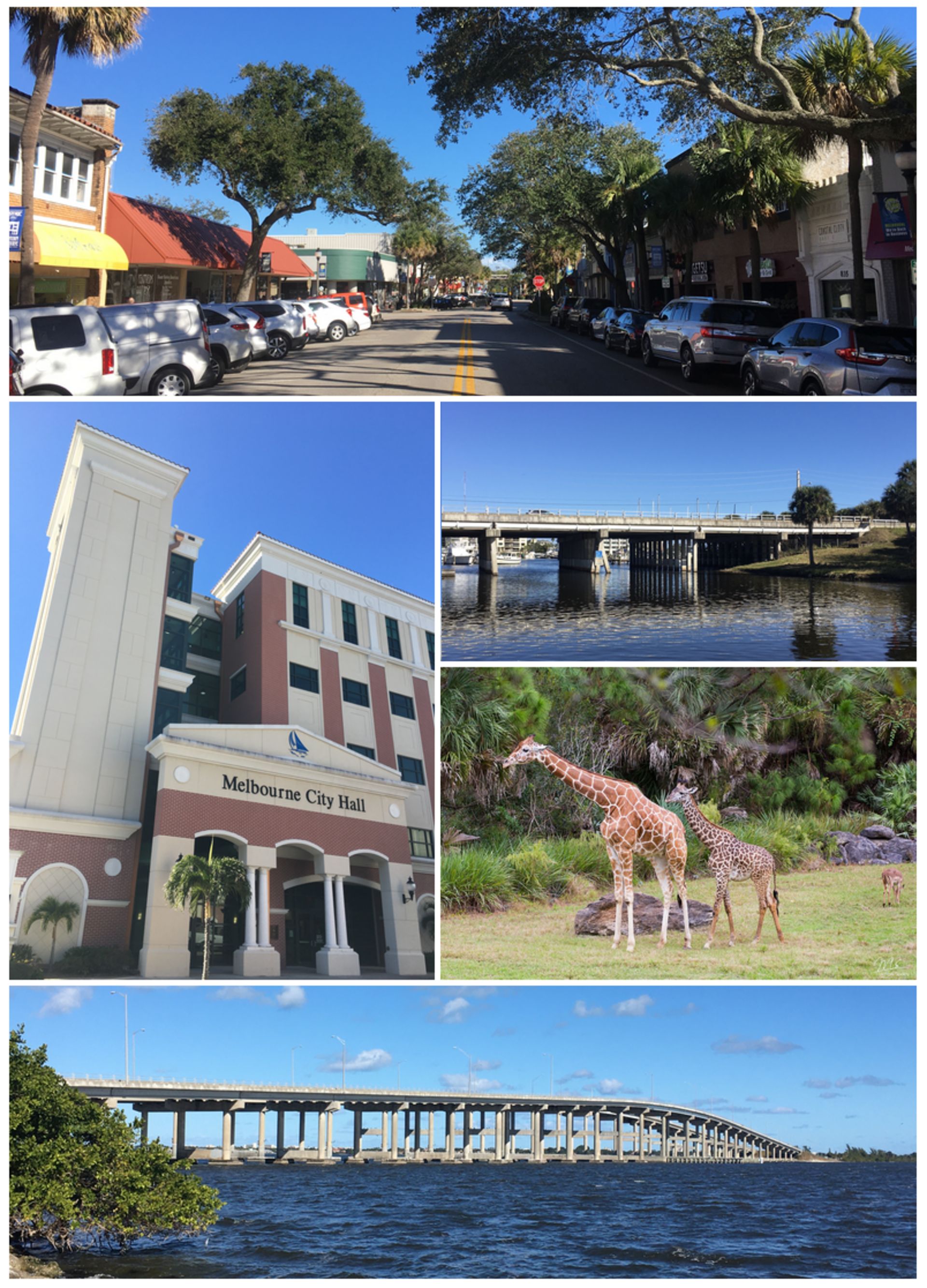 Melbourne, florida, featuring Melbourne, Florida - Melbourne (MEL-burn) is a city in Brevard County, Florida, United States. and "\"Melbourne Orlando International Airport - Melbourne Orlando International Airport (IATA: MLB, ICAO: KMLB, FAA LID: MLB) is a public airport 1.5 miles (2.4 km) northwest of downtown M...\"", web design agency service area photo