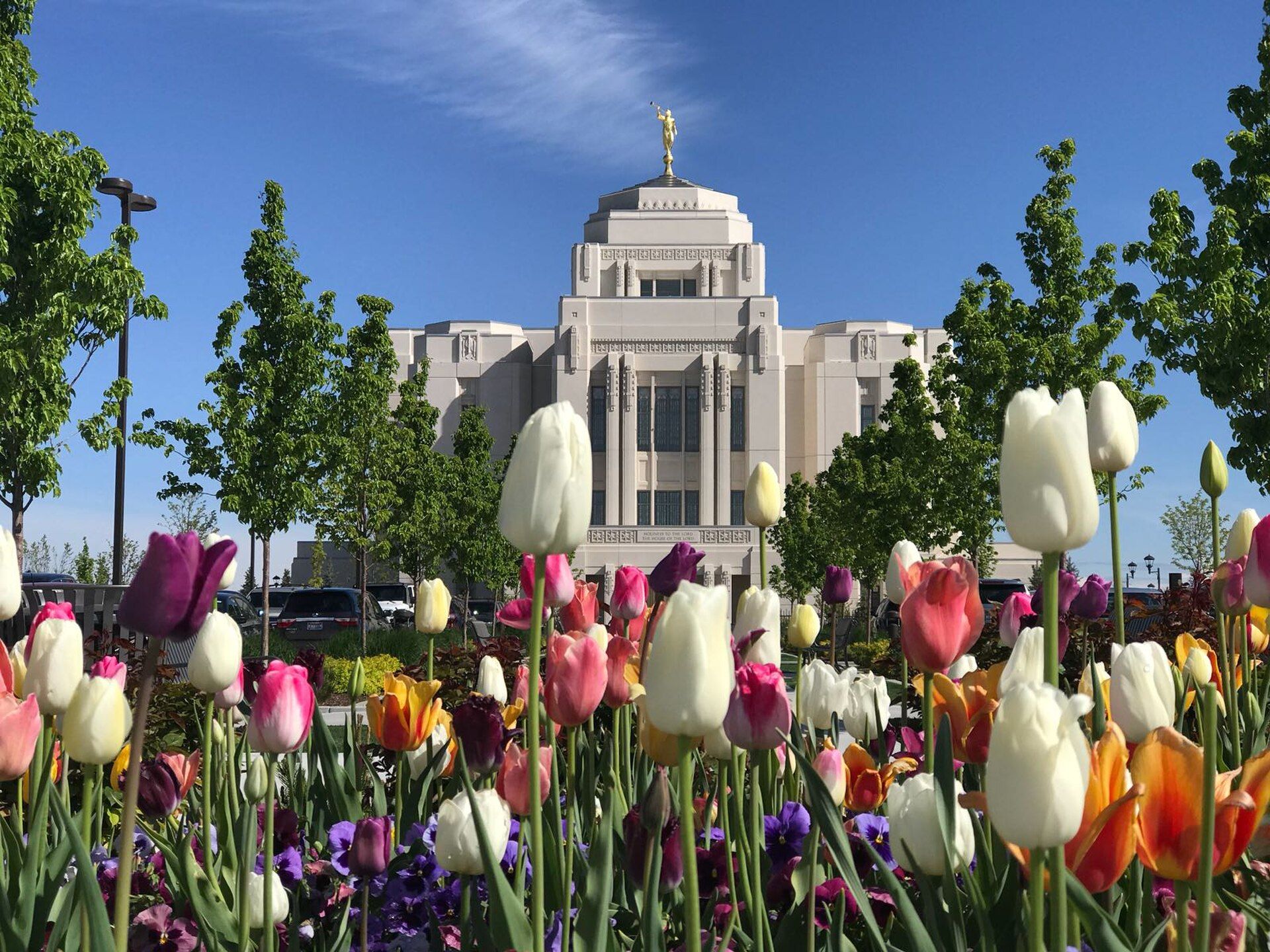 Meridian, idaho, featuring Meridian, Idaho - Meridian is a city located in Ada County, Idaho, United States. and Idaho College of Osteopathic Medicine - Idaho College of Osteopathic Medicine (ICOM) is a private, for-profit osteopathic medical school., web design agency service area photo