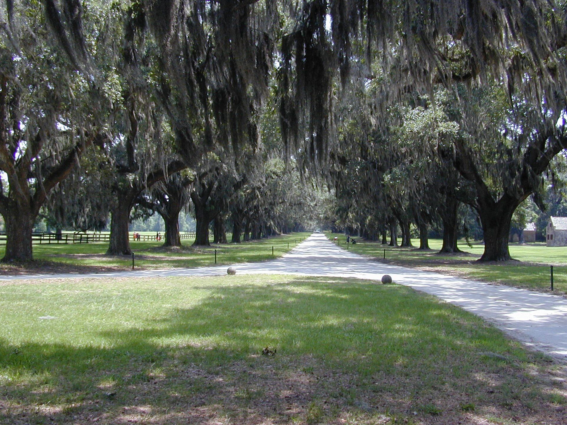 Mount Pleasant, south-carolina, featuring Isle of Palms, South Carolina - Isle of Palms is a city in Charleston County, South Carolina, United States. and Mount Pleasant, South Carolina - Mount Pleasant is a large suburban town in Charleston County, South Carolina, United States., web design agency service area photo