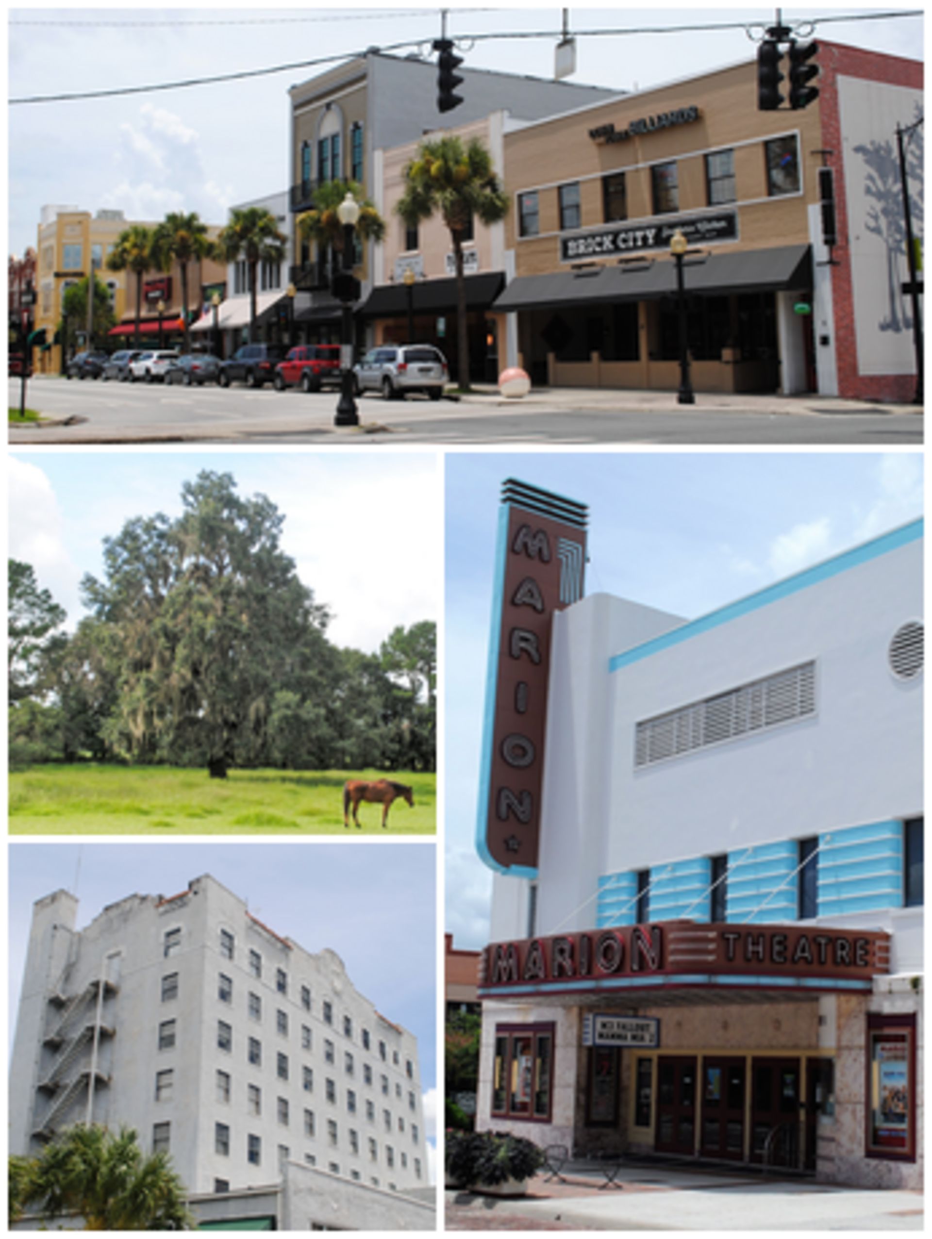 Ocala, florida, featuring Ocala, Florida - Ocala ( oh-KAL-ə) is a city in and the county seat of Marion County, Florida, United States. and E. C. Smith House - The E. C. Smith House (also known as the James Hall House) is a historic home in Ocala, Florida., web design agency service area photo