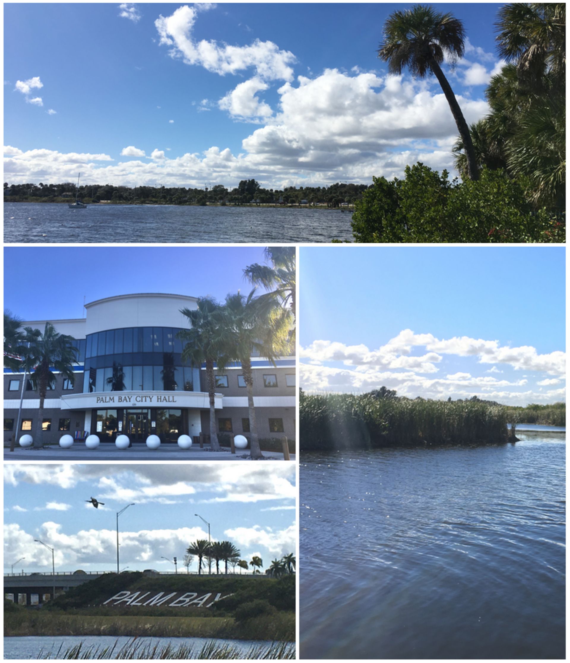 Palm Bay, florida, featuring Palm Bay, Florida - Palm Bay is a city in Brevard County, Florida, United States. and West Melbourne, Florida - West Melbourne is a city in Brevard County, Florida, United States., web design agency service area photo