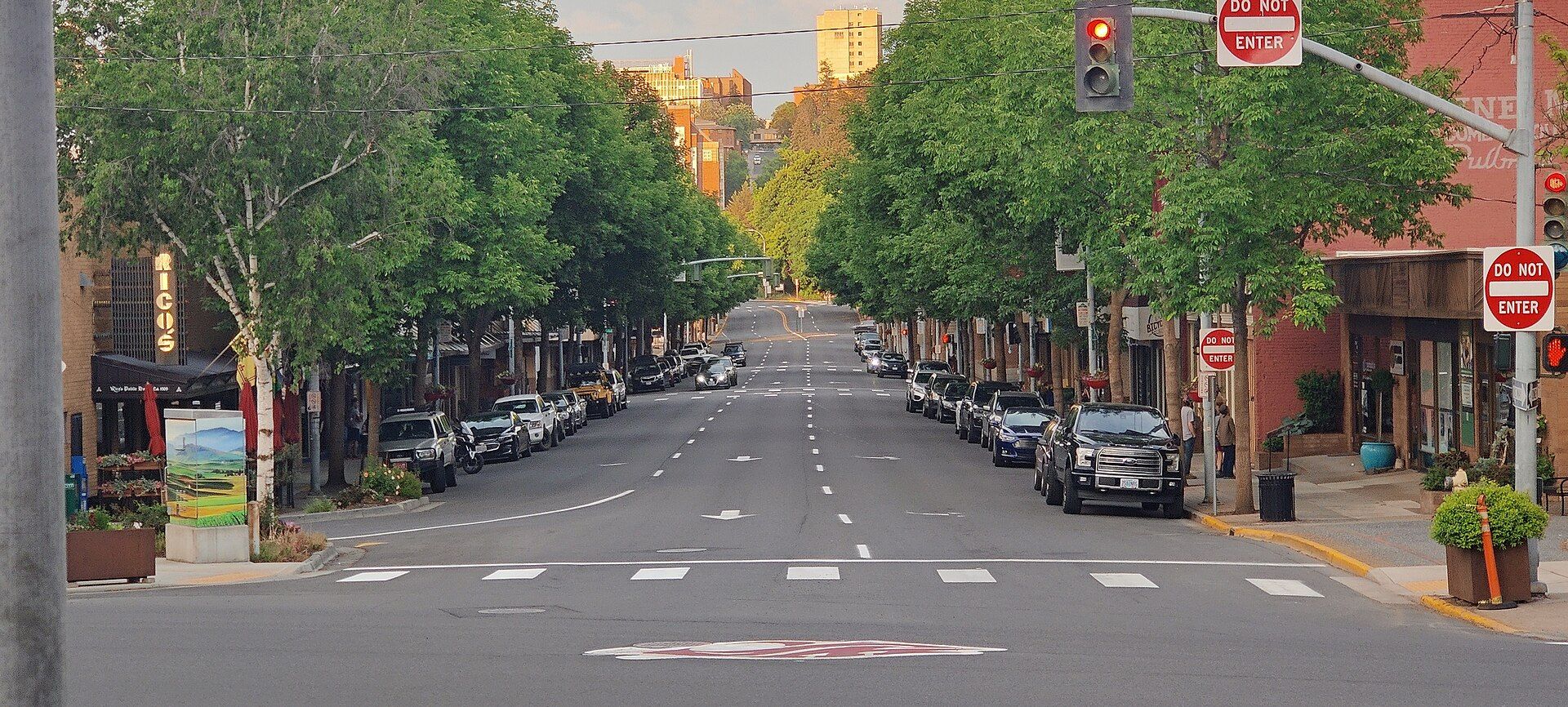 Pullman, washington, web design agency service area photo