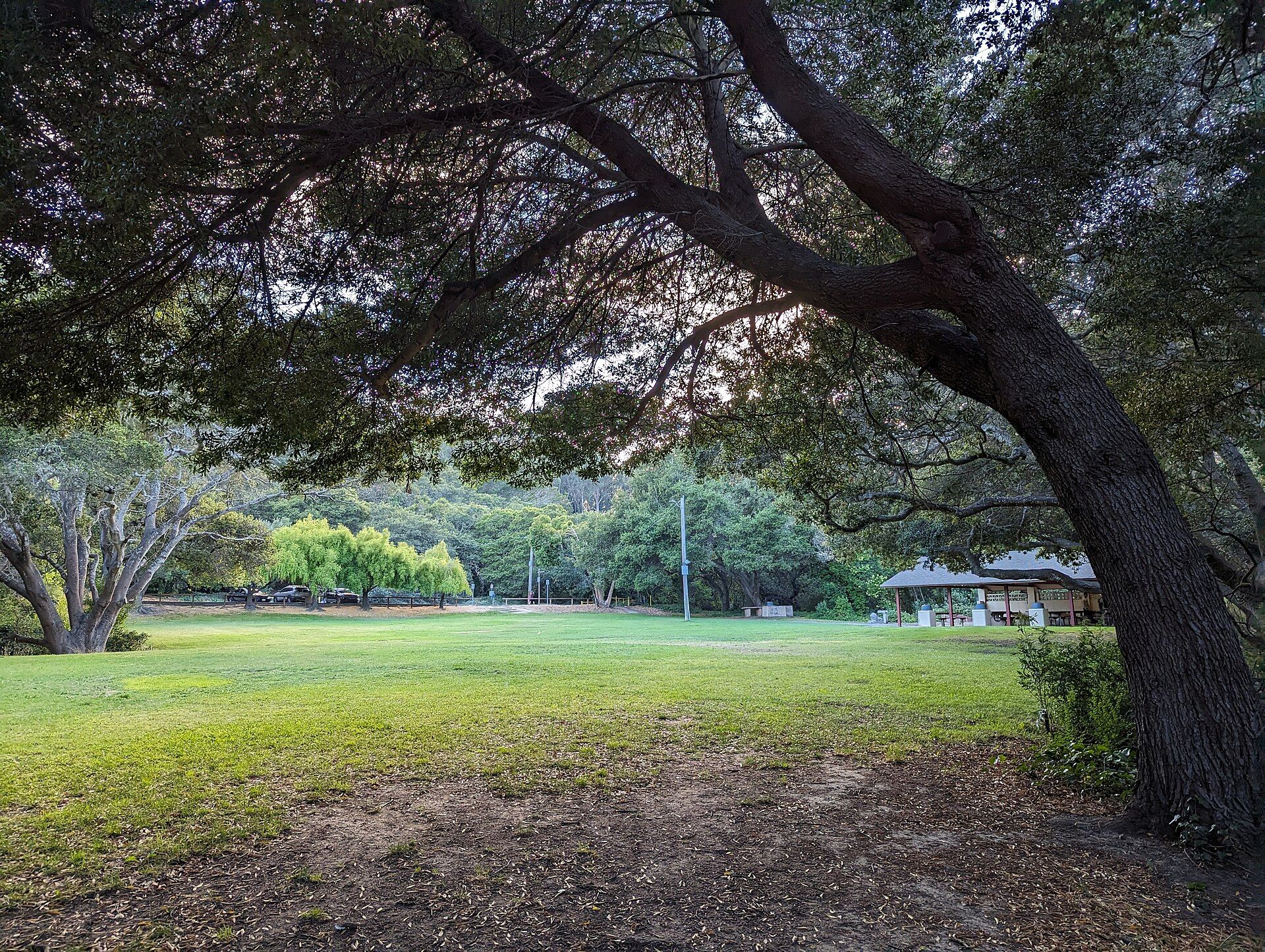 San Bruno, california, featuring "San Bruno, California - San Bruno (from Spanish 'St." and Golden Gate National Cemetery - Golden Gate National Cemetery is a United States national cemetery in California, located in the city of San Bruno, 12 miles (20 km) south o..., web design agency service area photo