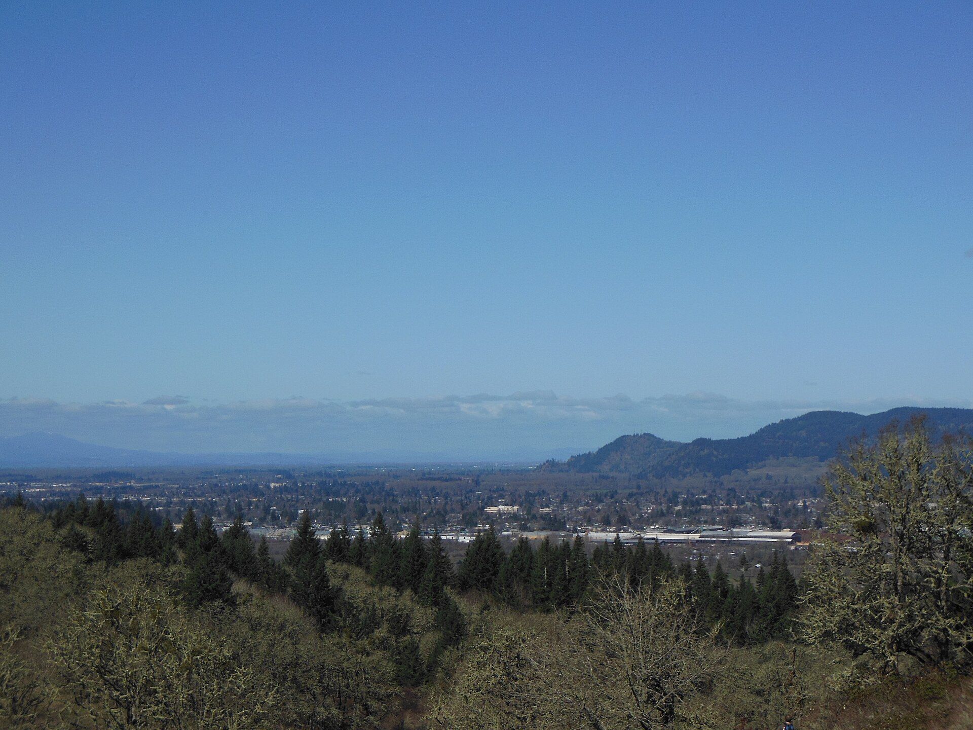 Springfield, oregon, featuring Glenwood, Lane County, Oregon - Glenwood is an unincorporated community in Lane County, Oregon, United States. and PeaceHealth Sacred Heart Medical Center at RiverBend - PeaceHealth Sacred Heart Medical Center at RiverBend is a 388-bed regional medical center., web design agency service area photo