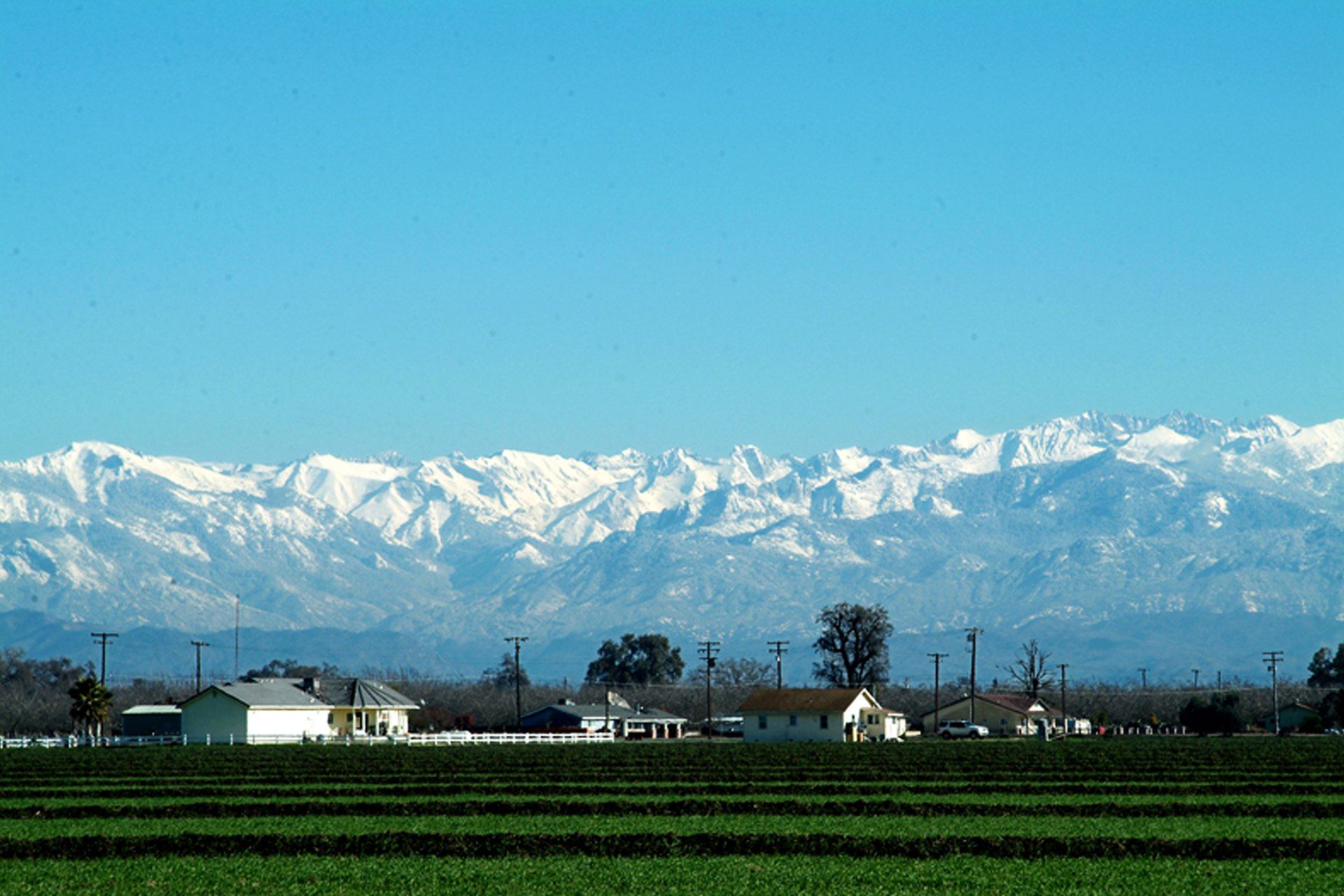 Tulare, california, featuring Tulare, California - Tulare (  tuu-LAIR-ee) is a city in Tulare County, California, United States. and World Ag Expo - World Ag Expo is the largest annual outdoor agricultural exposition with over 1,200 exhibitors and an attendance of more than 100,000 each y..., web design agency service area photo