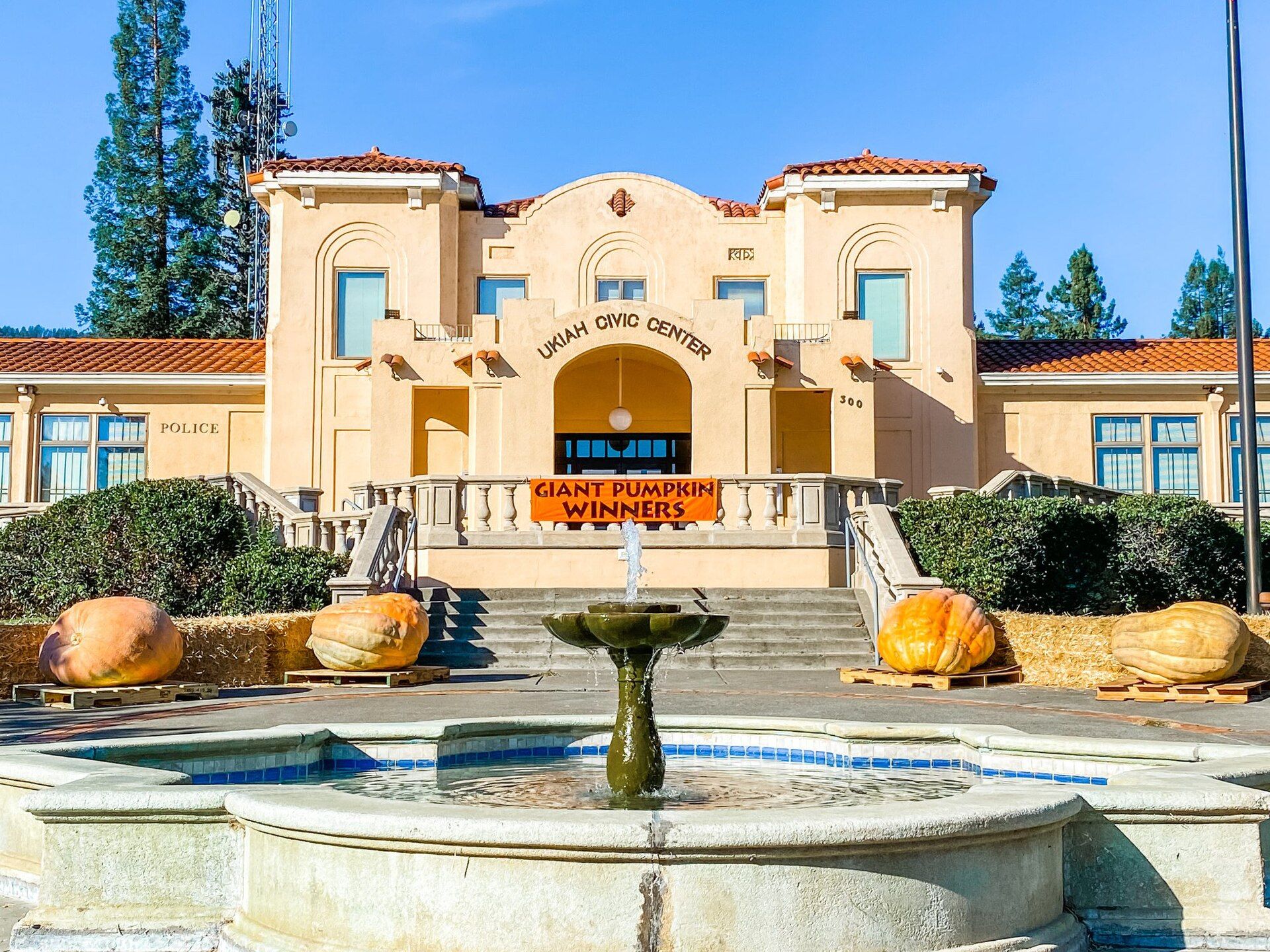 Ukiah, california, featuring "Ukiah, California - Ukiah ( yoo-KY-ə; Pomo: Yokáya, meaning \"deep valley\" or \"south valley\") is the county seat of and the largest city in Mendocino County, in ..." and "City of Ten Thousand Buddhas - The City of Ten Thousand Buddhas (traditional Chinese: 萬佛聖城; ; pinyin: Wànfó Shèngchéng; Vietnamese: Chùa Vạn Phật Thánh Thành) is an intern...", web design agency service area photo