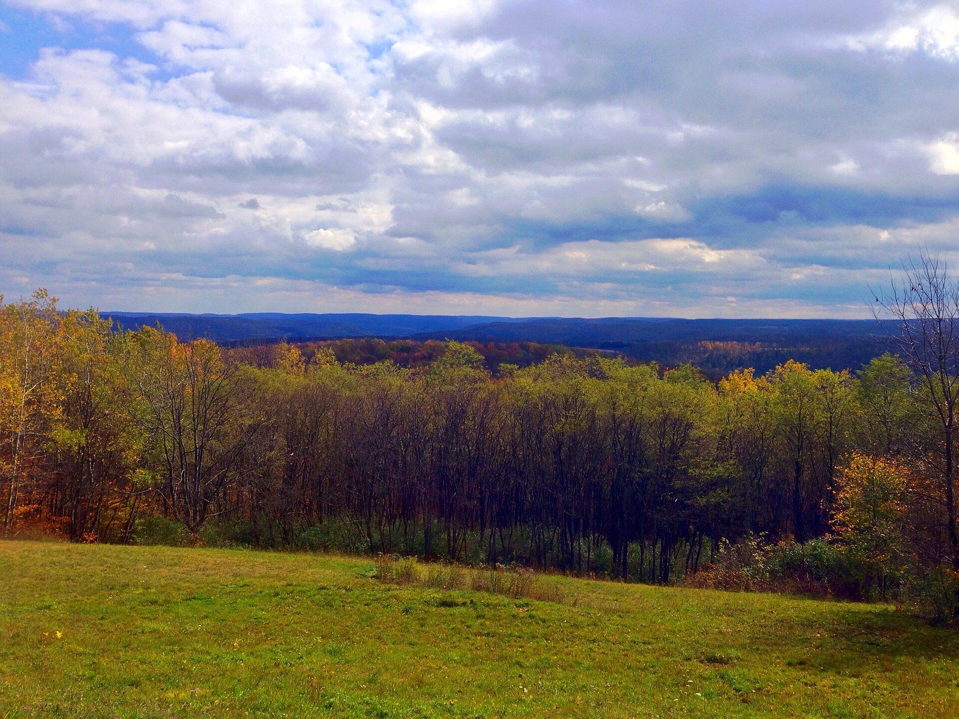 Wellsville, new-york, featuring Scio, New York - Scio is a town in Allegany County, New York, United States. and Willing, New York - Willing is a town in Allegany County, New York, United States., web design agency service area photo